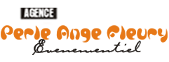 Logo alt